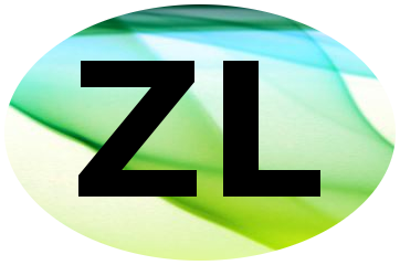 Bärbel Ziesche ZiescheLösungen