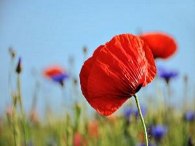 Bärbel Ziesche_Lebensberatung