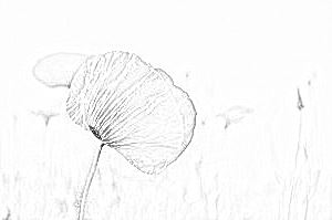 Bärbel Ziesche_Lebensberatung